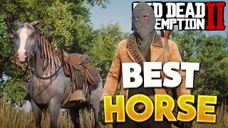 Red Dead Redemption 2 Best Horse How To Get Arabian Rose Grey Bay Horse RDR2 Best Horse Location [upl. by Asilec]