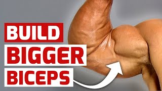 5 Arm Workout Hacks for Bigger Biceps [upl. by Georgeta270]