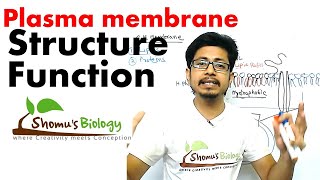 Plasma membrane structure and function [upl. by Now]