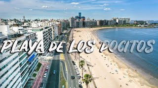 BEST BEACH IN MONTEVIDEO URUGUAY 4K  Playa de Los Pocitos [upl. by Fran]