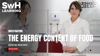 Investigating The Energy Content Of Food  Biology Practicals [upl. by Damita]