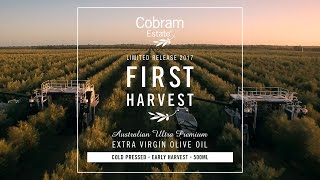 First Harvest  Cobram Estate [upl. by Adriell]