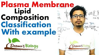 Plasma membrane lipid composition [upl. by Oicanata]