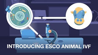 In vitro Fertilization IVF in Animals  Esco Medical [upl. by Ddal]