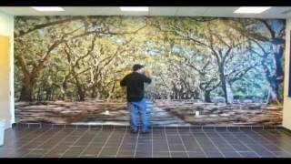 ORACAL USA  Indoor Wall Mural Installation [upl. by Louanne]