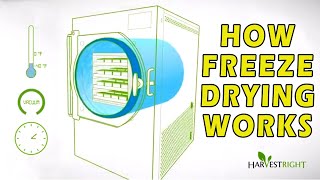 How Freeze Drying Works [upl. by Hanzelin]