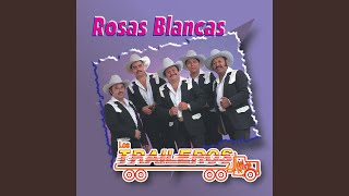 Rosas Blancas [upl. by Mannie]