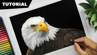 How to Draw an EAGLE with Colors  Tutorial for BEGINNERS [upl. by Yttig]