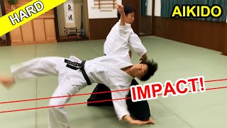 Impact Hard Aikido techniques [upl. by Nivlag]