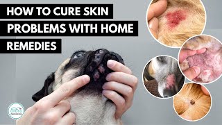 How To treat 5 Skin infection in dogs 🐕 with home remedies [upl. by Sternick]