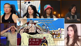 WHITEBEARD FIRST APPEARANCE Reaction Mashup [upl. by Anillek613]