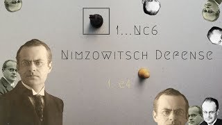 Nimzowitsch Defense Opening Theory [upl. by Ahterod]