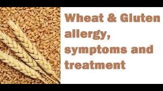 What is Wheat Allergy  गेहूं की एलर्जी क्या है  IN HINDI  हिंदी में [upl. by Asha]