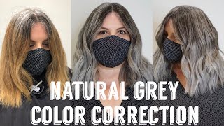 8 Ways To Transition To Grey Hair  Going Grey  Grey Hair Journey  1 Year Of Grey Hair [upl. by Yanahs]