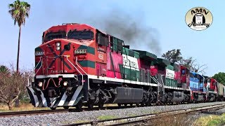 Ferrocarril Mexicano  Trenes Recorriendo la Linea A [upl. by Hgieliak]