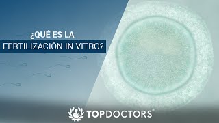 ¿Qué es la fertilización In Vitro [upl. by Oal]