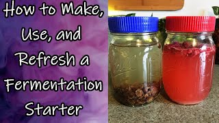 Fermentation Starter  Making Using Refreshing [upl. by Nita]