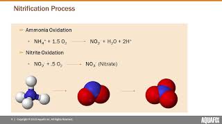 Unlock Nitrification amp Remove Ammonia [upl. by Farrington]