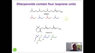 Lecture 1 Terpenes and Terpenoids [upl. by Meletius]