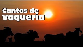 EN TIERRA DE VAQUEROS TRAILER [upl. by Bergstrom]