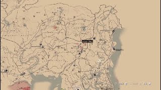 Red Dead Redemption 2 Chicks Treasure Location [upl. by Eugenia252]