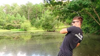 How To Fish Small Ponds  Bass Fishing Tips [upl. by Hsuk]