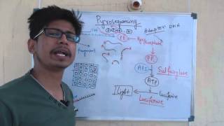 Pyrosequencing [upl. by Doownelg]