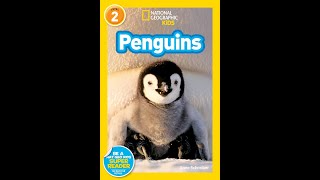 National Geographic Kids Penguins read aloud [upl. by Garratt]