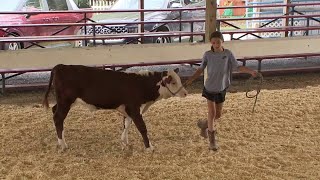 MontourDelong Community Fair underway [upl. by Blakelee]