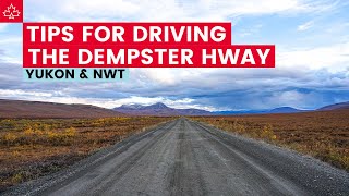 Canada Road Trip to the ARCTIC Seven Tips For Driving the DEMPSTER HIGHWAY [upl. by Fonsie]