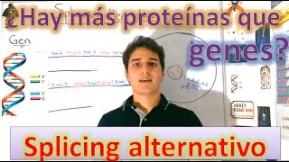 Splicing alternativo Síntesis de proteínas EN 5 MINUTOS [upl. by Slin]