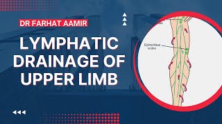 Lymphatic Drainage Of Upper Limb [upl. by Clotilda]