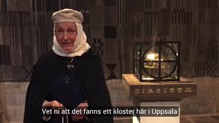 Medeltiden i domkyrkan  den heliga Birgitta berättar [upl. by Oinigih675]