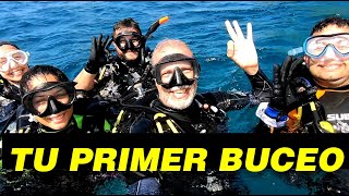 4 Tips Para que tu Primer Buceo sea un Éxito [upl. by Itram354]