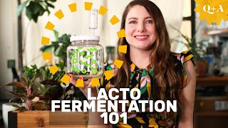 Fermentation 101 Guide to Lacto Fermenting Foods [upl. by Georgeanna]