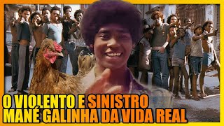 A HISTÓRIA DE MANÉ GALINHA DA VIDA REAL [upl. by Lianne]