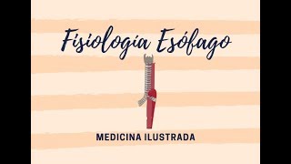 Fisiología Esófago  DISFAGIA [upl. by Ahsietal]