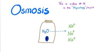 Osmosis  Physiology [upl. by Enyrat423]