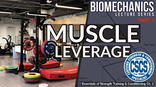 Biomechanics and Muscle Leverage  CSCS Chapter 2 [upl. by Atalie]