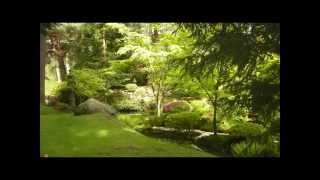 Tatton Park Japanese Garden Knutsford Cheshire [upl. by Karlow769]