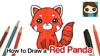 How to Draw a Red Panda [upl. by Jahdol724]