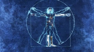 Reengineering the anatomy of the quotVitruvian Manquot [upl. by Atnauq304]