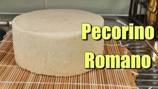 How to make Pecorino Romano at home using Raw Milk [upl. by Anwadal]