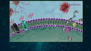 Amyloid Beta Processing [upl. by Alaet]