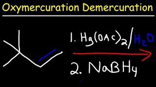 Oxymercuration Demercuration Reaction Mechanism [upl. by Calvano490]