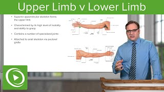 Upper Limb amp Lower Limb – Anatomy  Lecturio [upl. by Aihsatal]