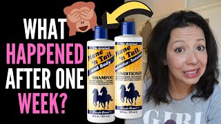 HAIR LOSS SUFFERER REVIEWS MANE AND TAIL SHAMPOO  CONDITIONER BEFORE and AFTER and TRUTHS 2020 [upl. by Noitna]