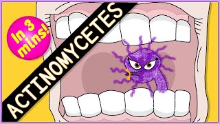 Actinomycetes Microbiology Morphology pathophysiology symptoms diagnosis treatment [upl. by Ellenod962]