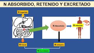 BROMATOLOGIA Calidad de Proteínas Alimentarias [upl. by Mok]