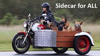 Motorcycle Sidecar [upl. by Saalocin]